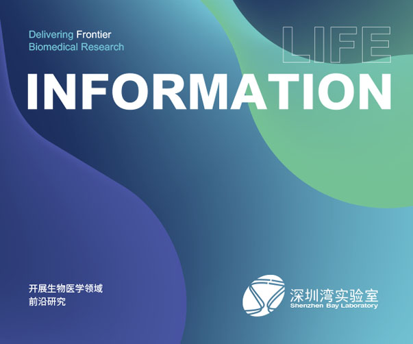 企業(yè)形象VI設(shè)計容易犯錯的15個問題