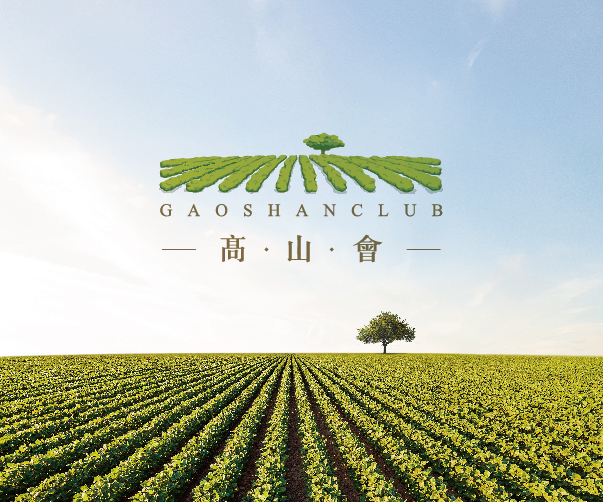 品牌重塑的技巧：廣州VI設計公司的專業(yè)實踐分享